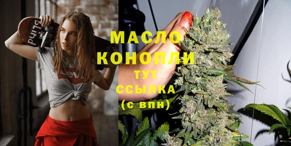 индика Галич