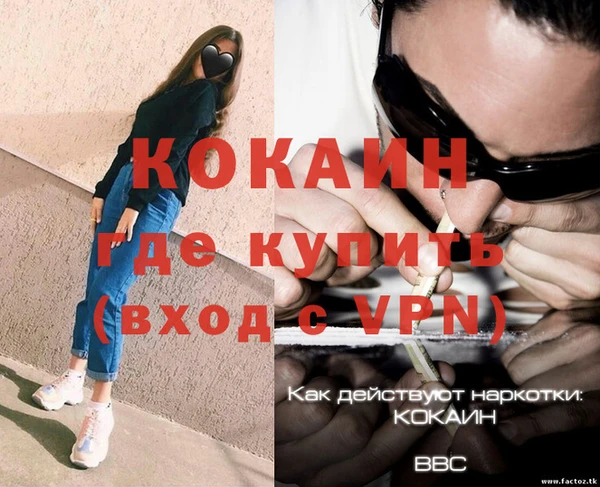 бошки Гатчина