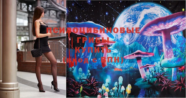 ГАЛЛЮЦИНОГЕННЫЕ ГРИБЫ Елизово