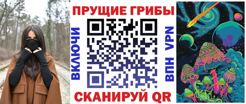 магазин  наркотиков  Злынка  Галлюциногенные грибы ЛСД 